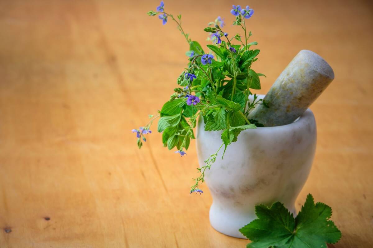 Ayurveda