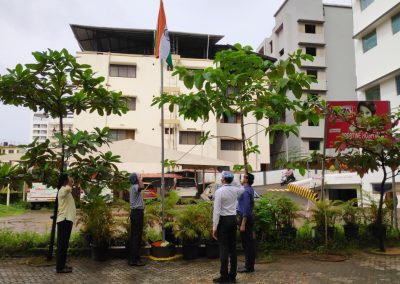 Independence Day 2020